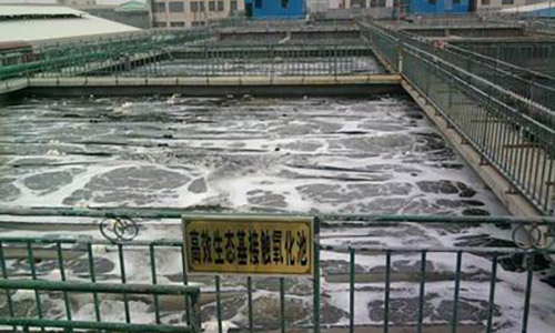 �尲Ƥҵ2000m&sup3;/���Ƹ��ˮ��Ŀ